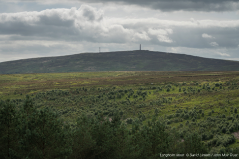 Langholm Moor